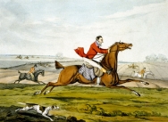Qualified Horses and Unqualified Riders - Plate 1