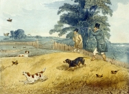 Partridge Shooting 1835, Plate 2