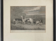 Dwarf Beagles H. Chalon (1770–1849) Engraving by H. Cook Published by M. A. Pittman.