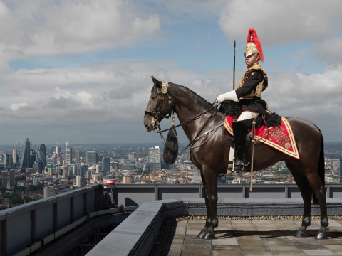 RIPLEY The Household Cavalry Mounted Regiment: The Coronation Year Exhibition 8th July - 6th November NHRM